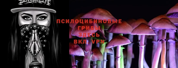 таблы Бикин