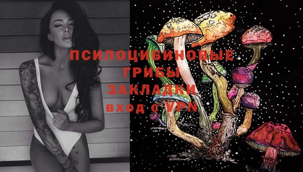 мдпв Билибино
