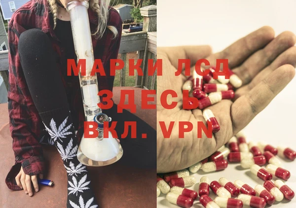 мдпв Билибино