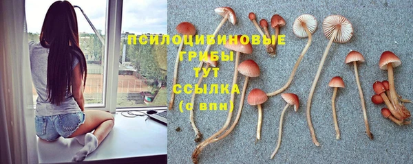 прущая мука Няндома