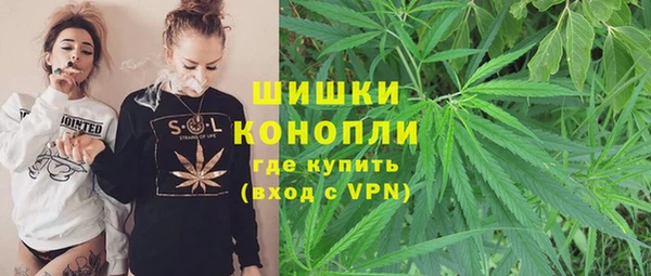прущая мука Няндома