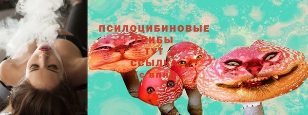 прущая мука Няндома